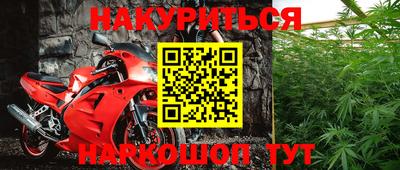прущие крисы Краснознаменск