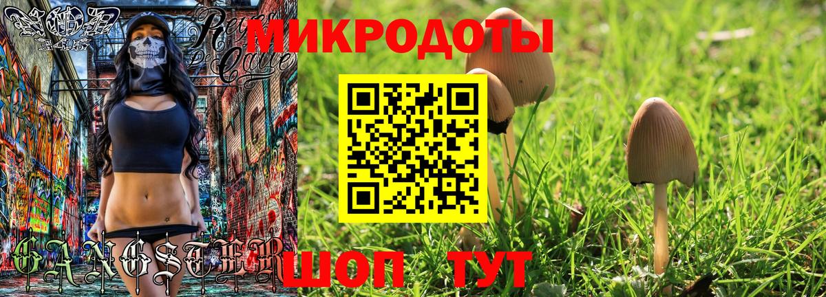 Чайковский  Галлюциногенные грибы MAGIC MUSHROOMS  Вход с VPN 